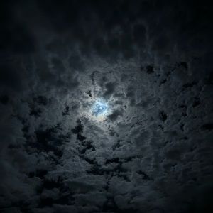 Meet your Posher, Kylie